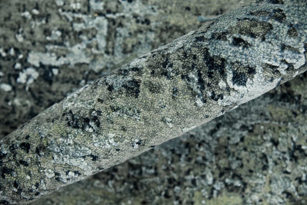 Designteppich Handgeknüpfte Milky-Way